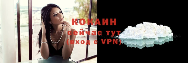 кокс Вяземский