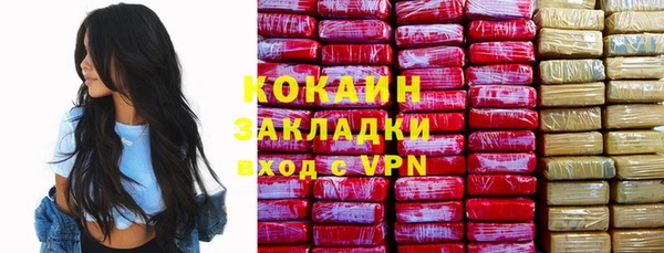 кокс Вяземский