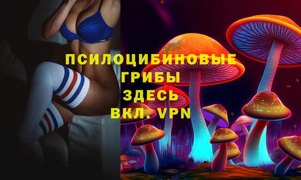 молекула духа Волосово
