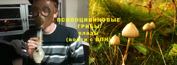 кокс Вяземский
