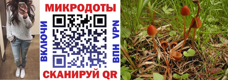 Псилоцибиновые грибы Psilocybine cubensis  где купить наркоту  Оха 